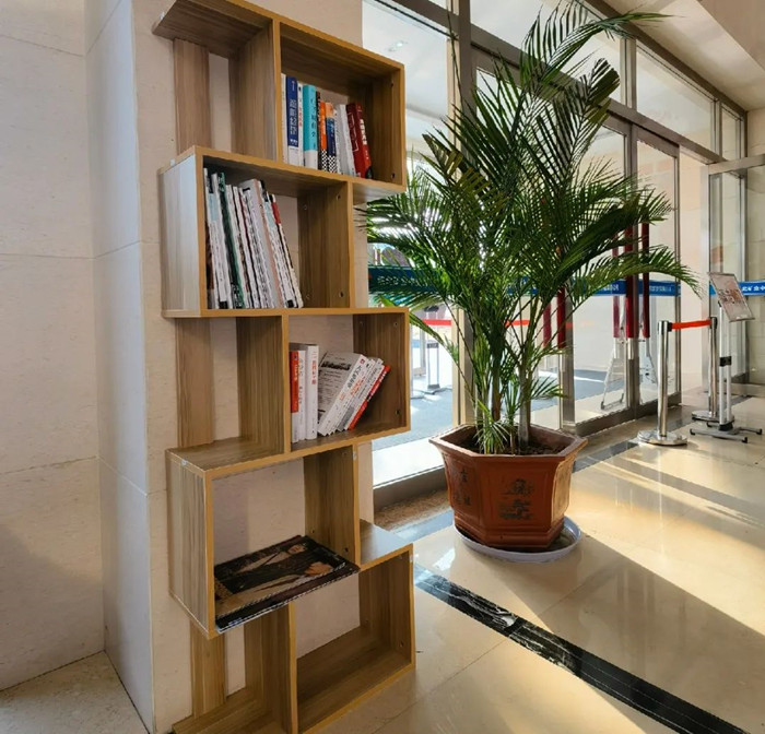 1637725156588931.jpeg 1637725156588931.jpeg